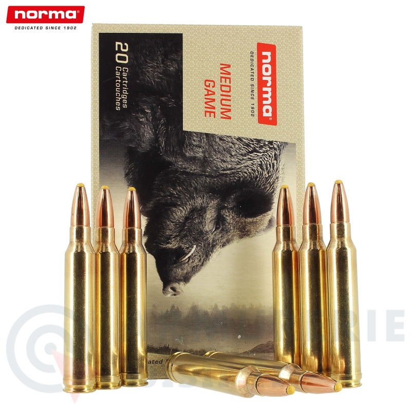 Boite de 20 cartouches Norma Plastic Point - 300 Win Mag (180gr)