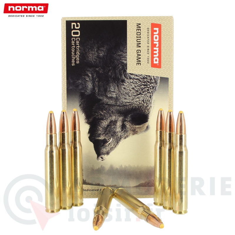 20 cartouches Norma Spring Plastic Point - 30-06 Sprg