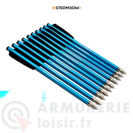 Lot de 10 Fl&egrave;ches Steambow Stinger