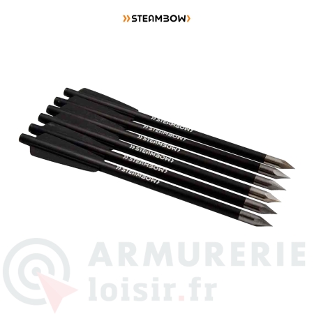 Lot de 6 fl&egrave;ches Steambow Bodkin