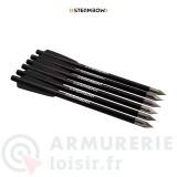Lot de 6 flèches Steambow Bodkin