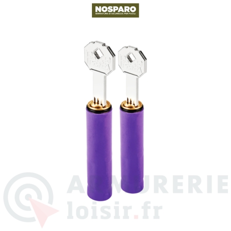 Serrure de s&eacute;curit&eacute; Nosparo Fusil...