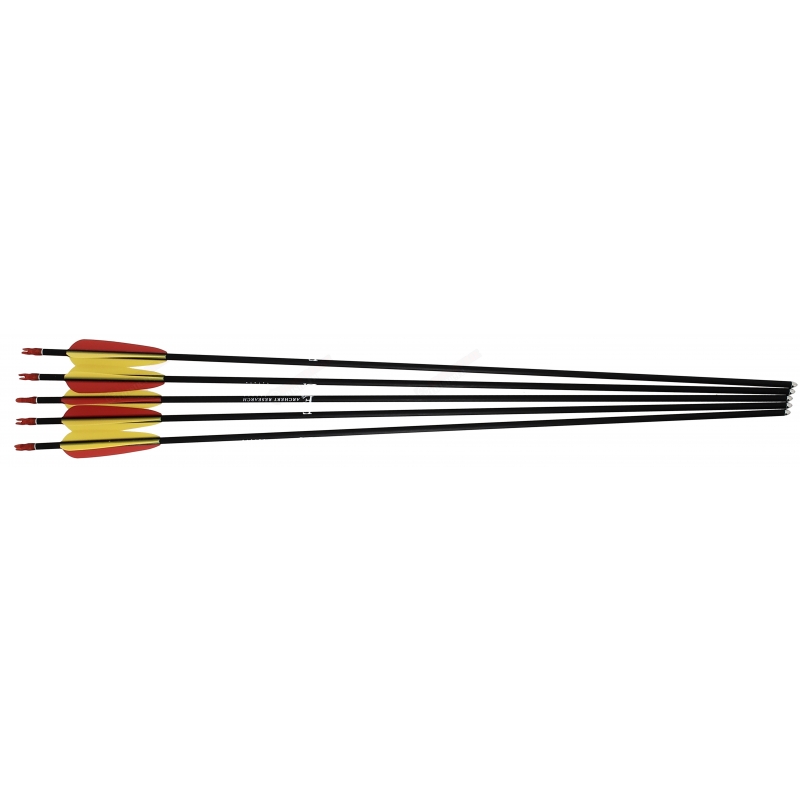Lot de 5 fl&egrave;ches en fibre de verre 28" Ek Archery