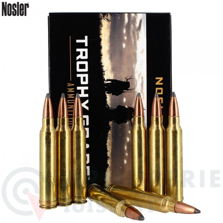 20 Nosler Trophy Grade .300 WM 200 gr Partition