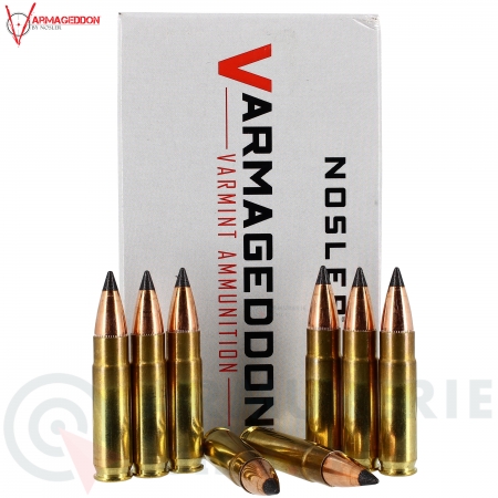 20 Cartouches Varmageddon Varmint 300 BLK 110gr FB...