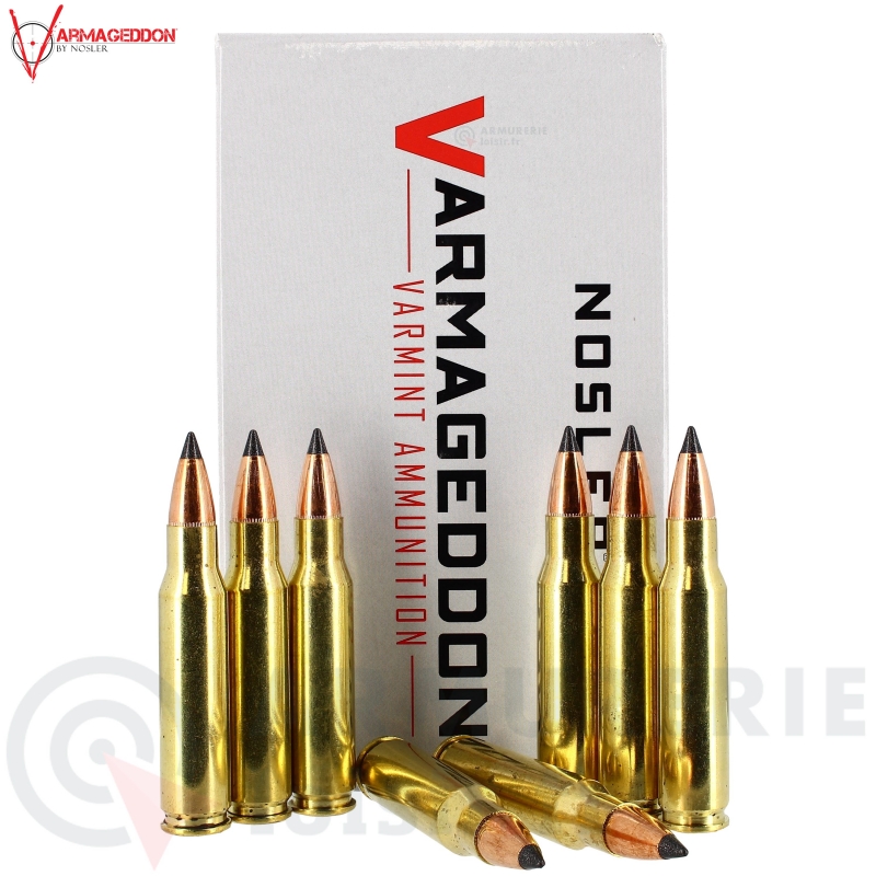 20 Cartouches Varmageddon Varmint 308 Win 110gr FB Tipped