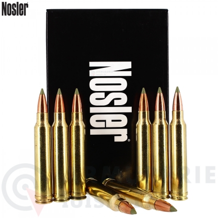 20 Cartouches Nosler 300 Win Mag 180 gr Expansion Tip
