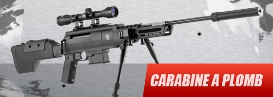 Carabine &agrave; plomb
