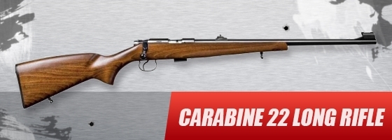 Carabine 22LR