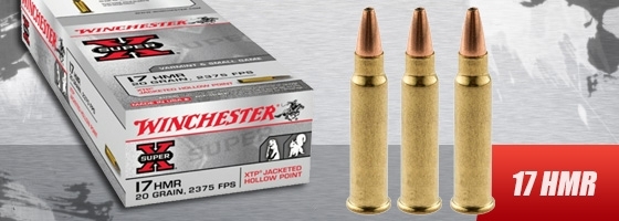 17 HMR