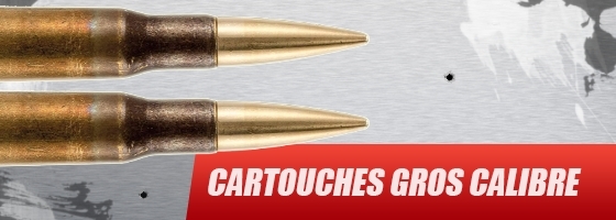 Cartouches gros calibre