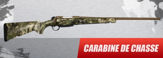 Carabine de chasse